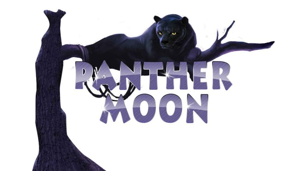 Menyusuri Hutan Misterius Bersama Panther Moon